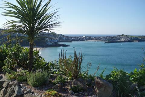 Grey Mullet Guest House St Ives Exterior foto